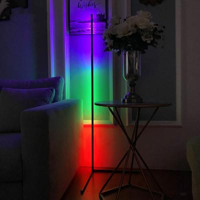 China Lighting Functions 2021 New Style Factory Direct Wholesale Price RGB LED Modern Floor Light for sale