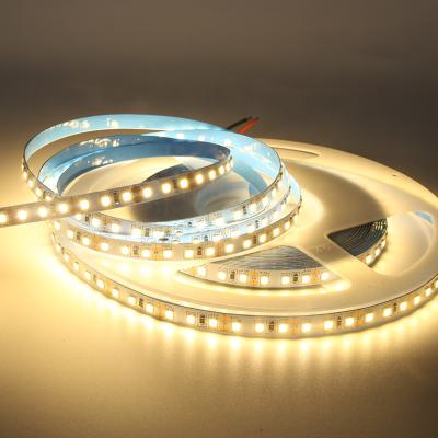 China 2021 Factory Direct High Quality Dc12v Indoor Outdoor 120Lamp Bead 2835Smd 8MM Flexible Waterproof High Lumen Led Strip Light for sale