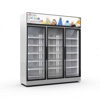 China Double-temperature cold wall upright glass door ice freezer, indoor ice merchandiser for sale