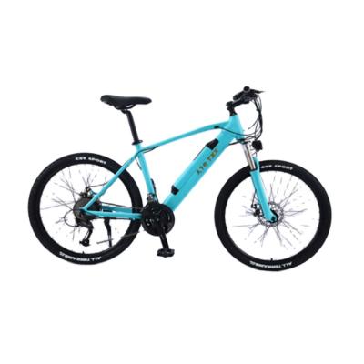 China Packing Wholesale High Quality Snow E Bike With Removable Battery Electric Mountain Bike for sale