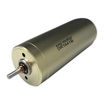 China BOAT top sale guaranteed quality brush dc motor coreless dc motor 24 volt for sale