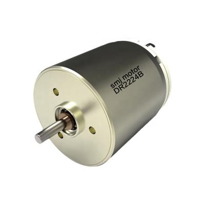 China Totally Enclosed High Quality 12V DC Motor Brushed SMJ DC Motor for sale