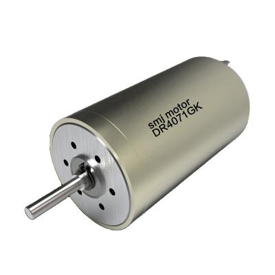 China 48V High Long Life Brushed DC Electric Motor Totally Enclosed DR4071GK for sale