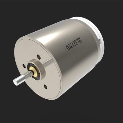 China Totally enclosed 6v 12v 22mm dc coreless motor with graphite brushes and gear box for sale