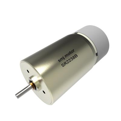 China Totally Enclosed Japan High Torque 24v DC Servo Motor For Sale for sale