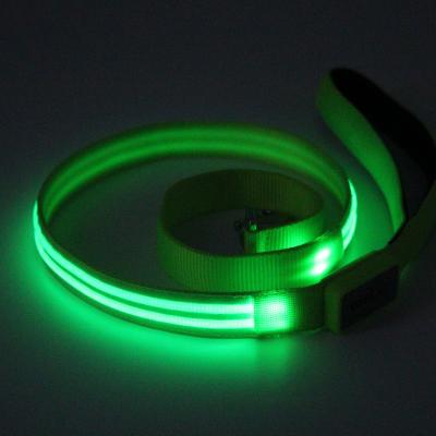 China BREAKPOINT Light Up Custom Printed Dog Leash LED Flash Logo Nylon Pets Leash Manufacturers for sale