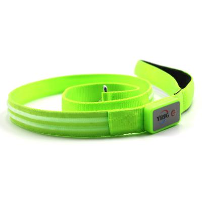 China Good Quality LED USB Rechargeable Fashion DETACHED Welcome Glow in the Dark Dog Leash for sale