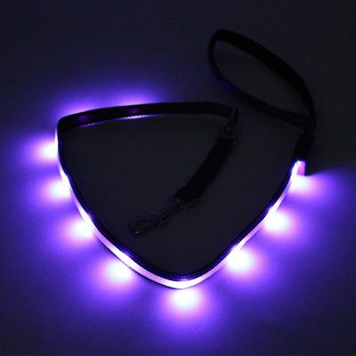 China DETACHED Pets Night Safety Glow in the Dark USB Rechargeable Nylon Dog Leash with Light for sale