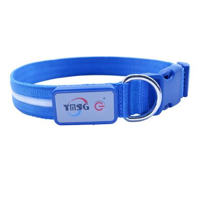 China OEM ODM DETACHED Logo Custom Colors Personalized Pet Illumiseen Dog Collar With Led Light Supplies for sale