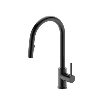 China Contemporary New Style Stainless Steel Pull Out Sprayer Kitchen Faucets Pull Down Faucet Kitchen Faucet for sale