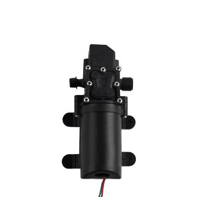 China 12v Agriculture DC High Pressure Irrigation and Irrigation Sprayer Push Mist Diaphragm Pump Electric DC Motor for sale