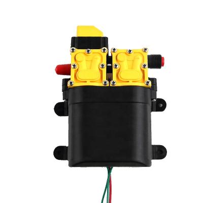 China 12v Electric Diaphragm Irrigation And Agriculture Double Diaphragm Micro High Pressure Water Pump for sale