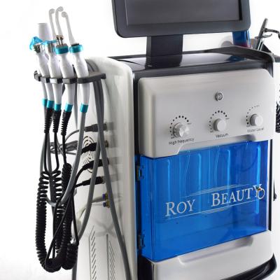 China Skin Tightening SPA22 Vertical 12 in 1 Diamond Aqua Peeling Hydro Dermabrasion Best Facial Beauty Machine for sale