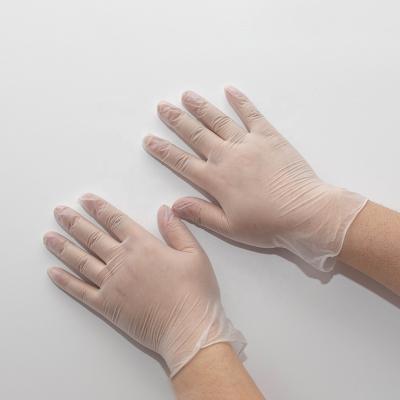 China Cleaning clear color vinyl glove powder free cleaning glove for sale