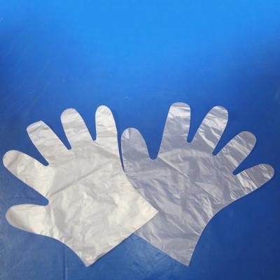 China Cleaning Wholesale manufacturer cheap PE glove food contact house clean beauty use for sale