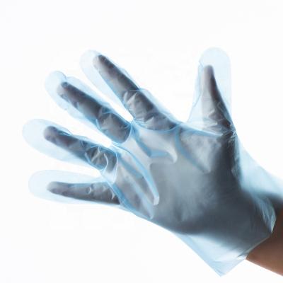 China Cleaning Blue/Transparent Disposable TPE glove for food handling dishwashing house clean food grade for sale