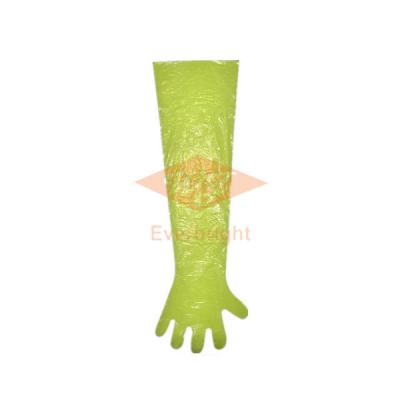 China Water proof long sleeve PE long arm veterinary glove animal glove for sale