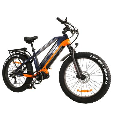 China Steamoon 2022 mid drive 1000w electric bike mountain battery electric motor bike dual motor bike for sale for sale