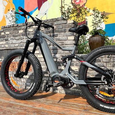 China Aluminum alloy very popular in USA electric fat tire bike ebike with mid drive motor STM-M09 for sale