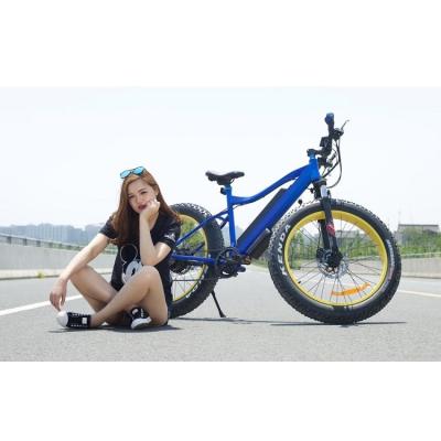 China Electric bicycle 26