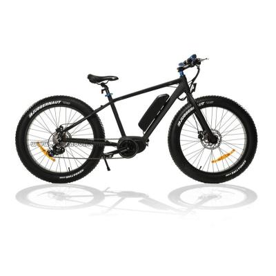 China 250w super motor e-bike fat tire aluminum alloy e-bike big tire electric bike with 26