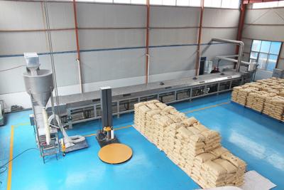 China Phenolic Resin Pastillation System Manufacturer For Making Pastilles Processing for sale