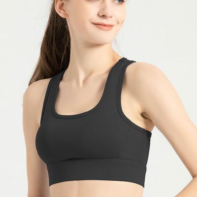 China Fitness Breathable Seamless Gym Sports Bra Women Square Neck Padded Yoga Sportswear Polyester Spandex Quick Dry Ladies Top for sale