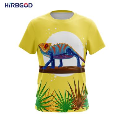 China HIRBGOD TYZ2022-30 Breathable Chameleon Running Shirts Wholesale Cycling Custom Quick Dry Shirt Running T-shirt For Women for sale