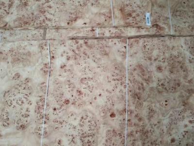 China 0.6mm Mappa Burl Veneer for Furniture Usage for sale