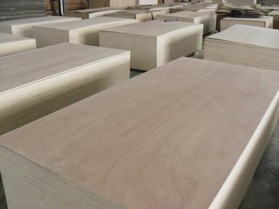 China 18mm Full Birch Plywood for Furniture Usage for sale