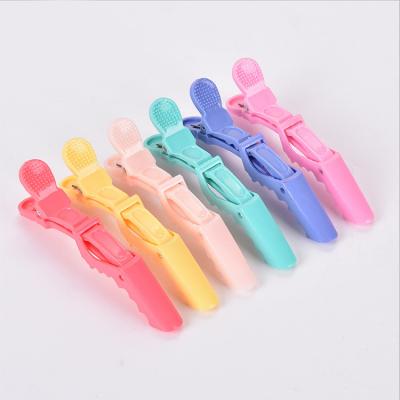 China 2pcs Professional European and American style factory direct sales new clips for hair salon hair clips and plastic hair clips for women girls for sale