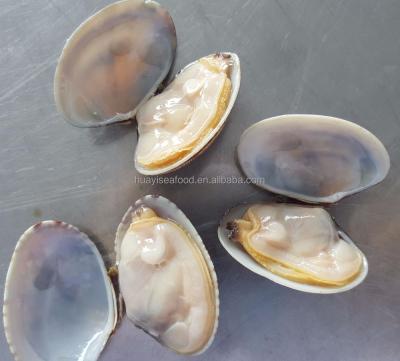 China Nature and delicious vacuum clam for sale