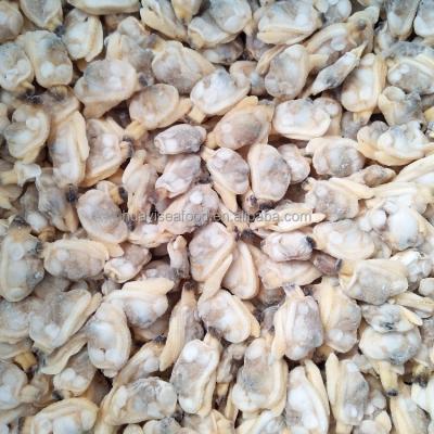 China Fresh frozen boiled clam meat for sale