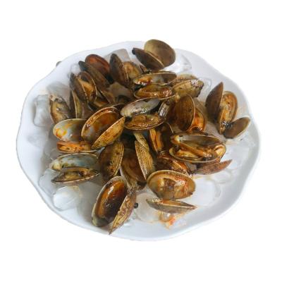 China Frozen spicy rubber band asari clam for sale