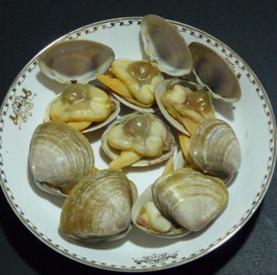 China FROZEN fresh frozen surf clam in shell with best price and service for sale