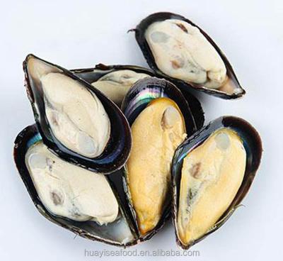 China Half Jelly JELLY Shell Mussel Seafood China Manufacture for sale