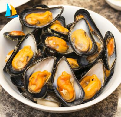 China FROZEN Types Fresh Frozen Mussel Shell Seafood Meat for sale