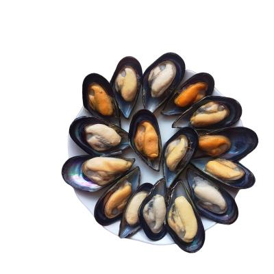 China High Quality Frozen Fresh Cooked Green Mussle for sale