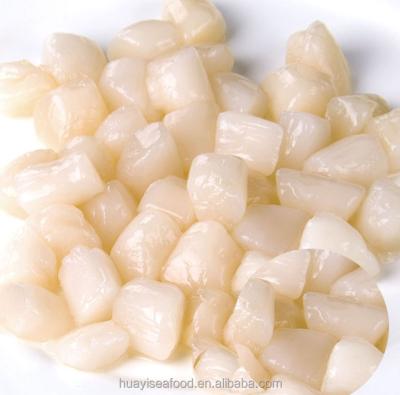 China FROZEN price of new frozen dry berry scallop price for sale