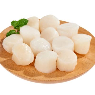 China Best New Selling FROZEN Catch Boiled Frozen Berry Scallop and Scallop Meat for sale