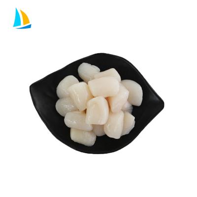 China iqf frozen berry scallop price FROZEN seafood for sale