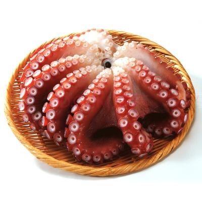 China Frozen Flower Typed Octopus Whole Frozen Cleaned for sale