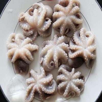 China Frozen baby octopus for sale delicious seafood Huayi396 for sale