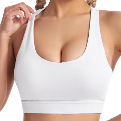 China Anti-Bacterial Fashion Design Fitness Spandex Nylon Women Blank Push Up Gym Bra Workout Top Fitness Cross Back Yoga Sports Bra for sale