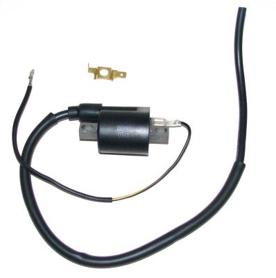 China Motorcycle Electric Part Ignition Coil CG125 CDI for sale