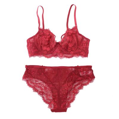 China Breathable Women Lace Up Bra Brief Sets Transparent Sexy Underwear Underwired Bra Panty Set Underwear for sale