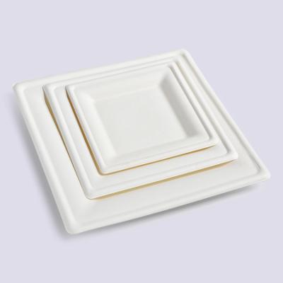 China Large 12 inch Traditional Bagasse Disposable Round Paper Plate for sale