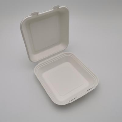 China Biodegradable Hot Containers Mucus Container Disposable Microwavable Food Grade Containe for sale