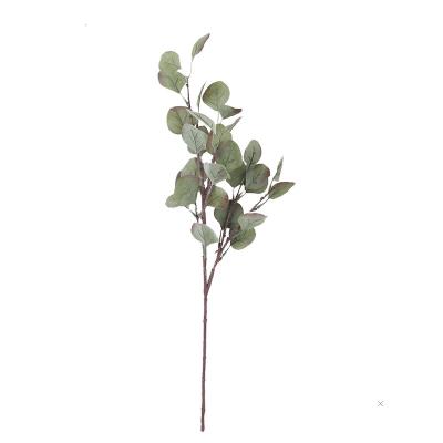 China 2021 Natural Touch Artificial Preserved Flowers Eucalyptus Leaves Plant Decoration Home Wedding Dried Flowers Artificial Wool Silver Leaves for sale