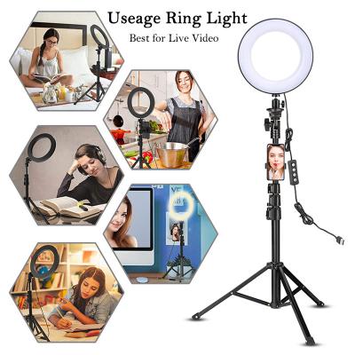 China Forfeel Beauty 10 Inch Tiktok Photographic Selfie Led Ring Light With Tripod Stand For Live Stream Makeup Youtube Video 12 inch for sale